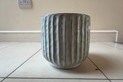 plant pot big