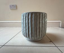 plant pot big