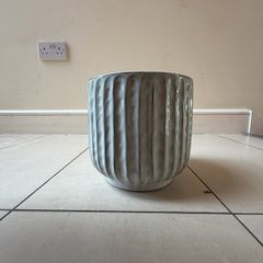 plant pot big