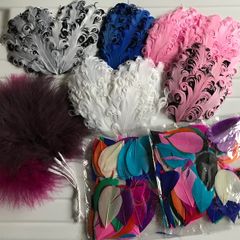 Feather Bundle