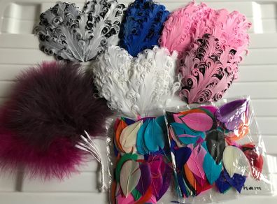 Feather Bundle