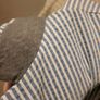 Douuod Boys Shorts Suit Age 8 Image 5