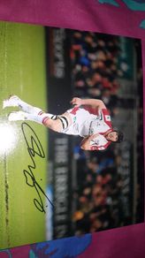 Ulster ireland and British lion legend signed photo Stephen Ferris