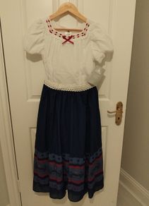 Halloween costumes Disney Encanto, age 11-12 years