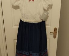 Halloween costumes Disney Encanto, age 11-12 years