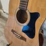 Ibanez Acoustic Guitar Image 3