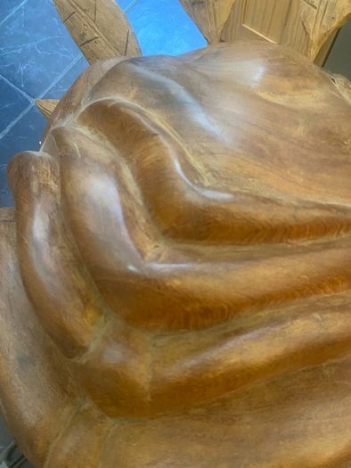 Massive mahogany head