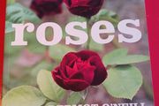 Dermot O' Neill / Roses/ 2009