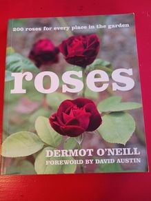 Dermot O' Neill / Roses/ 2009