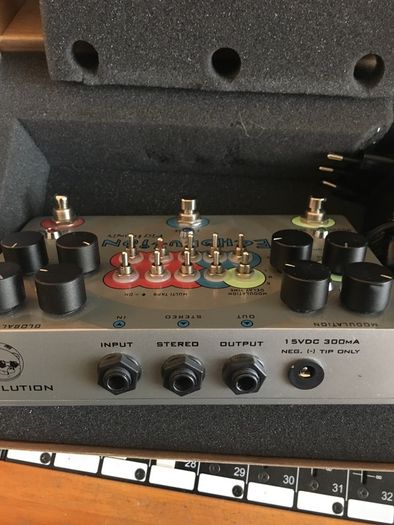 Pigtronix Echolution Delay Pedal -