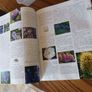 gardening plants & flowers Image 3