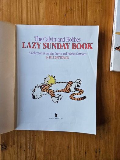 The Calvin And Hobbs X 2 Books. I X Lazy Sunday Book. 2 X There's Treasure Everywhere.  Both By Bill Watterson. Large Volume Paperback In Good Condition.  See Photos For Same