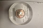 coin in case