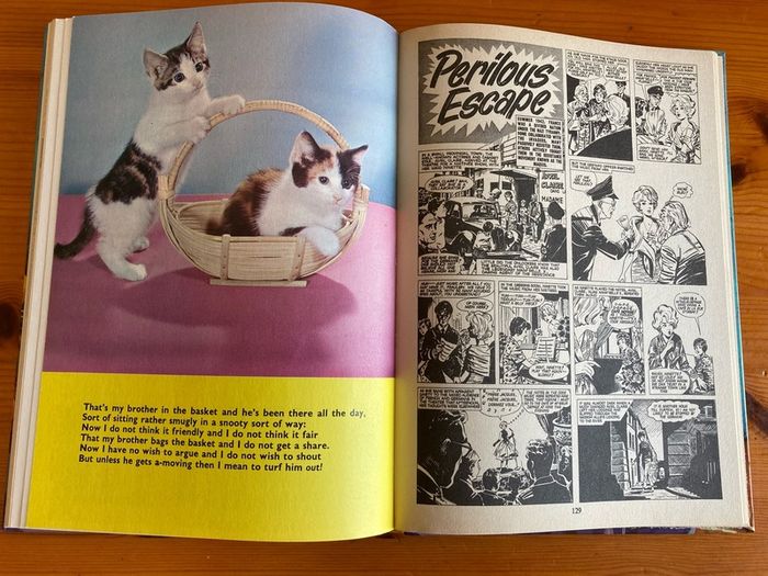 'Sandie' annual 1974.