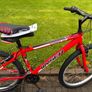 Wyser Mountain Bike Image 5