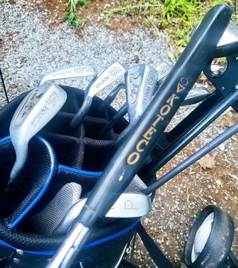 Set of golf clubs