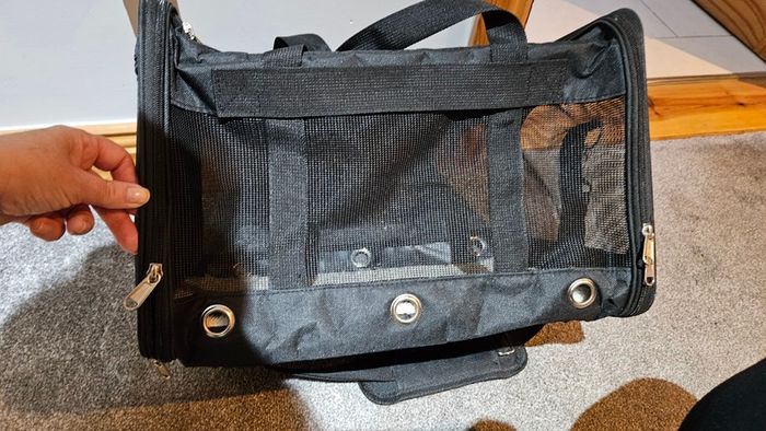 Pet carrier