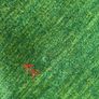 round carpet green 145cm Image 2