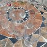 15 pint glasses Image 3