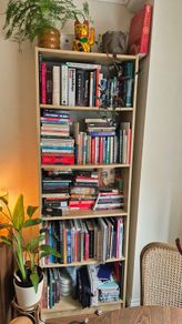 Tall light wood Bookcase