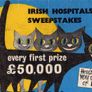 Irish Hospital Sweepstakes Ticket (september 1965) Image 2