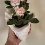 Artificial Plants in Ceramic Pots x7 Image 4