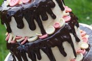 Silicone Mould Chocolate Buttons