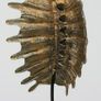 Turtle Shell - Polished Bronze, Signed Image 6