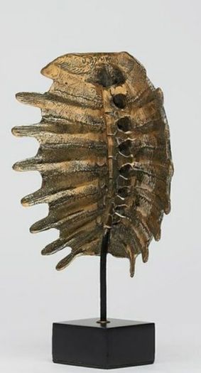 Turtle Shell - Polished Bronze, Signed