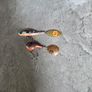 fishing lures Image 3