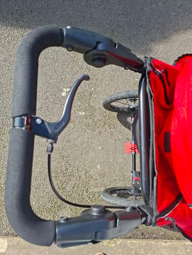 Running buggy