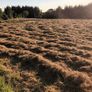Round Hay Bales Image 6