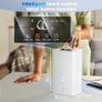 2.7L Dehumidifiers for Home Electric Dehumidifier for Bedroom Quiet & Touch Control Dehumidifier for Bathroom,10-Hour Timer,Auto Shut-Off & 7 LED Dehumidifiers for Wardrobe Closet R  850ML/24H Image 2