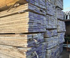 scaffold