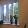sansevieria Laurentii planter Image 6