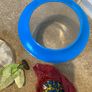 fish bowl Image 2