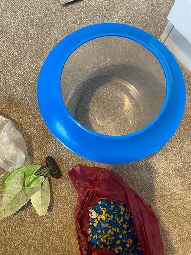 fish bowl