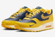 Nike Air Max CO.JP Michigan UK 10 Brand New Deadstock