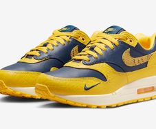 Nike Air Max CO.JP Michigan UK 10 Brand New Deadstock