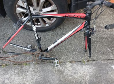racing frame