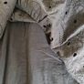 Broderie Anglaise Dress - Copenhagen brand Image 5