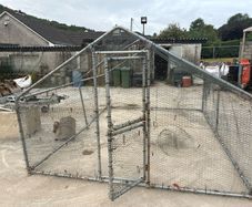 Dog run