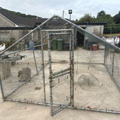 Dog run