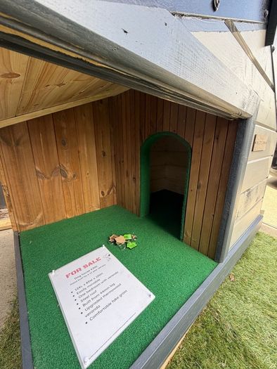 Dog house