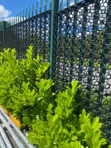 Privacy fence panels