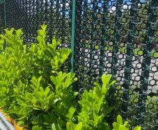 Privacy fence panels