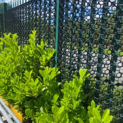 Privacy fence panels