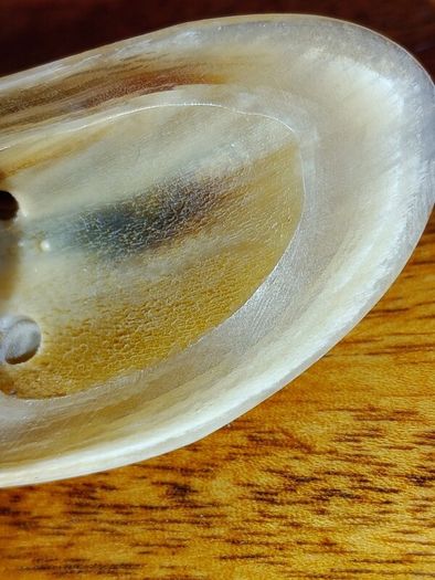 Vintage Carved Horn Fish