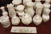 Aynsley"Wild Tudor" Collection