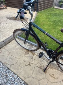 Raleigh Pioneer